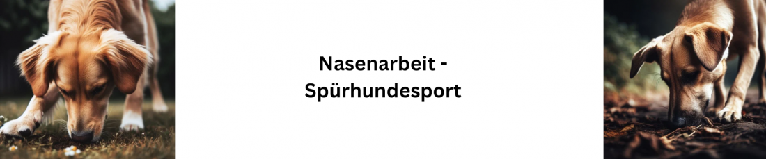 Nasenarbeit - Gegenstandssuche 