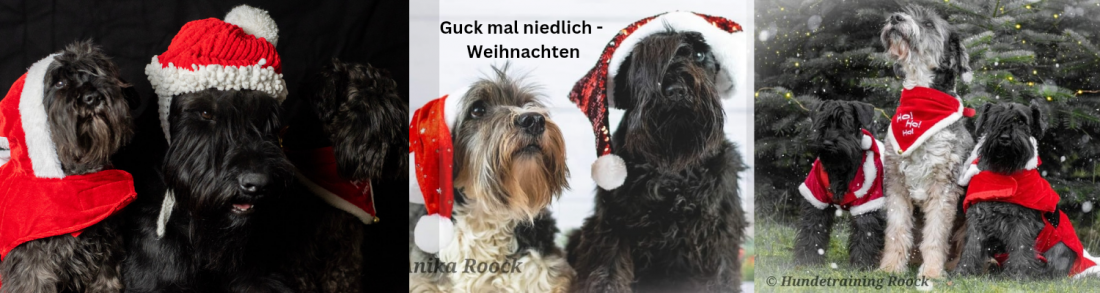 Fototermin Weihnachten