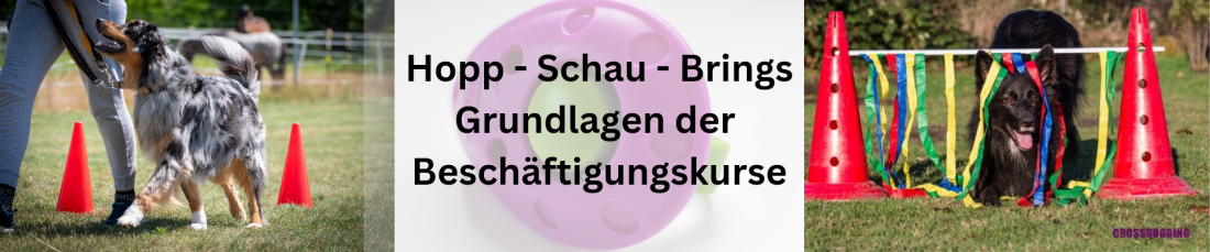 Hopp-Schau-Brings - Grundlagen der Beschäftigungskurse