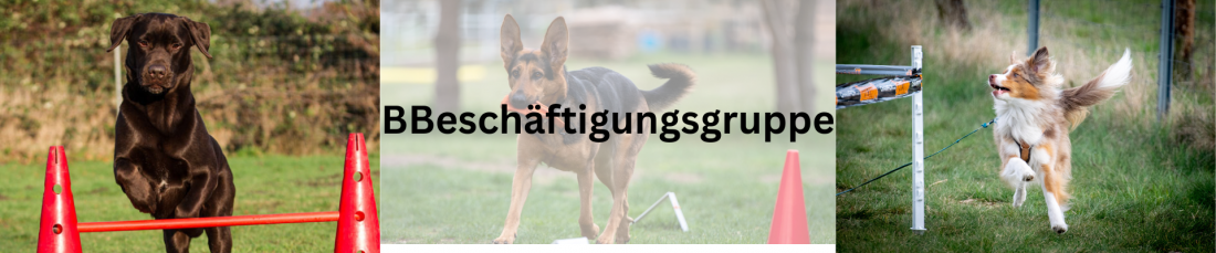 Beschäftigung