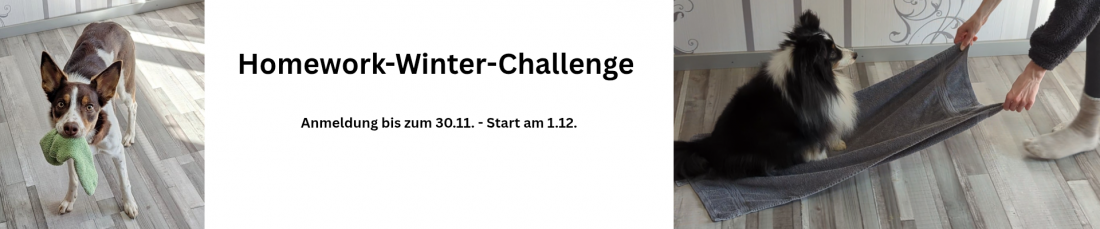Homework-Winter-Challenge