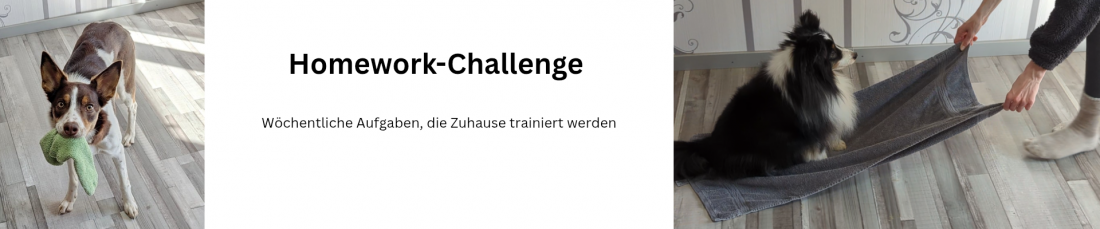 Homework- Summer- Challenge