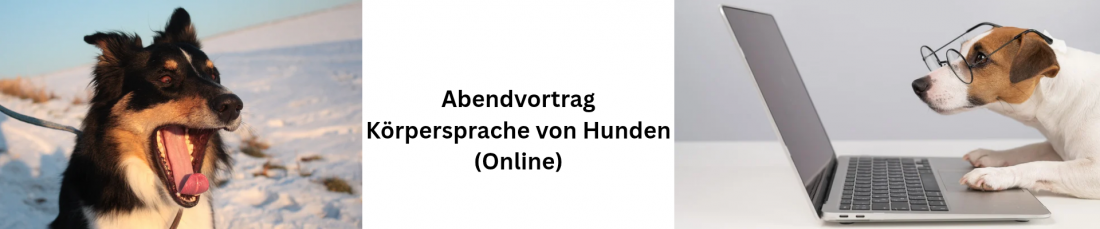 Abendvortrag Körpersprache von Hunden (Online)