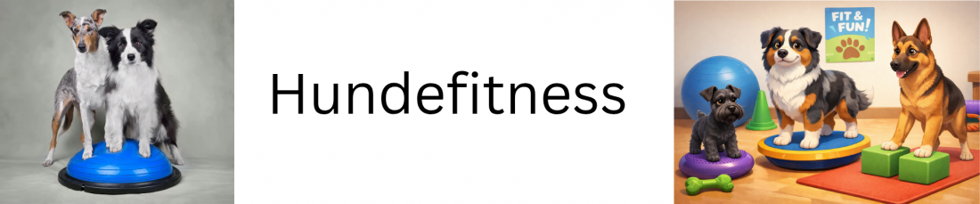 Hundefitness