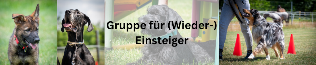 Gruppe für (Wieder-) Einsteiger