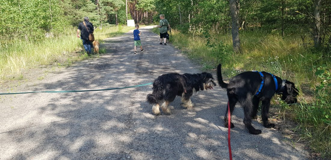 Social Walk / Begegnungstraining